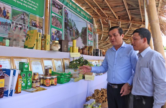 Duyên hải Nam Trung Bộ và Tây Nguyên vẫn đang là vùng trũng về xây dựng nông thôn mới ảnh 1