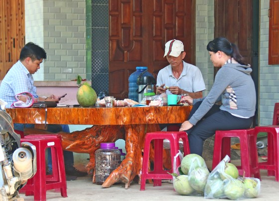 Nông dân Quảng Nam thoát nghèo nhờ bưởi da xanh ảnh 3