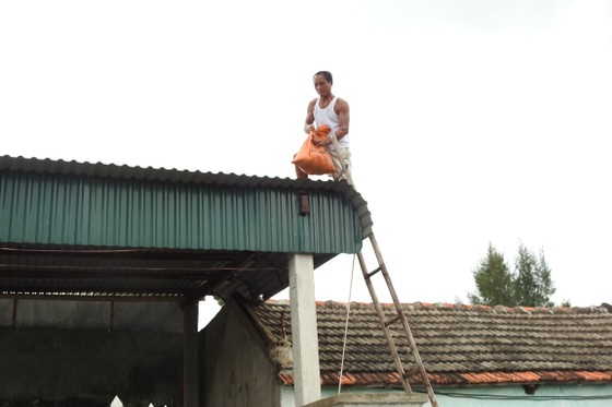 Phó Thủ tướng Trịnh Đình Dũng kiểm tra công tác ứng phó bão số 10 tại Quảng Bình ảnh 6