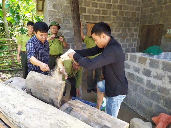 Quảng Bình: Tạm giữ nhiều động vật rừng nuôi trái phép ảnh 2