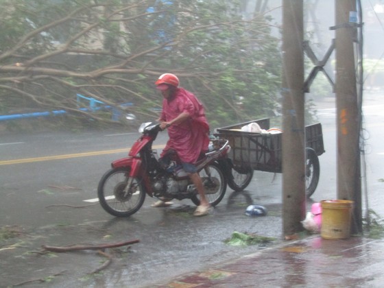 Vũng Tàu - Bến Tre mưa lớn, gió giật mạnh, Khánh Hòa - Ninh Thuận ngập lụt, đường sắt tê liệt ảnh 6