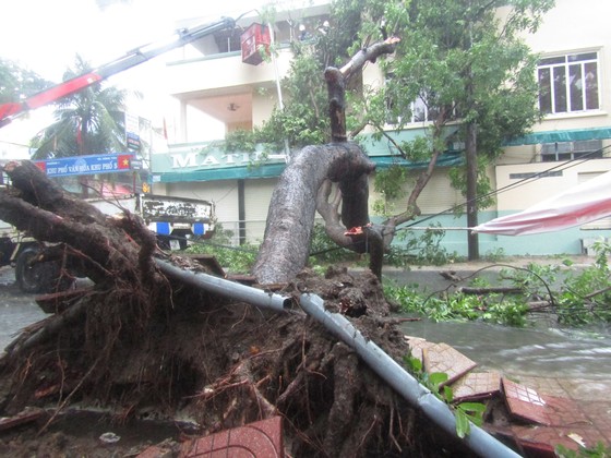 Vũng Tàu - Bến Tre mưa lớn, gió giật mạnh, Khánh Hòa - Ninh Thuận ngập lụt, đường sắt tê liệt ảnh 1