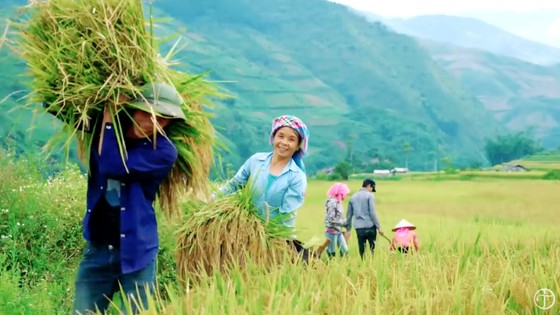 Nghe 'Ta sẽ hồi sinh' cùng Đức Tuấn ảnh 4