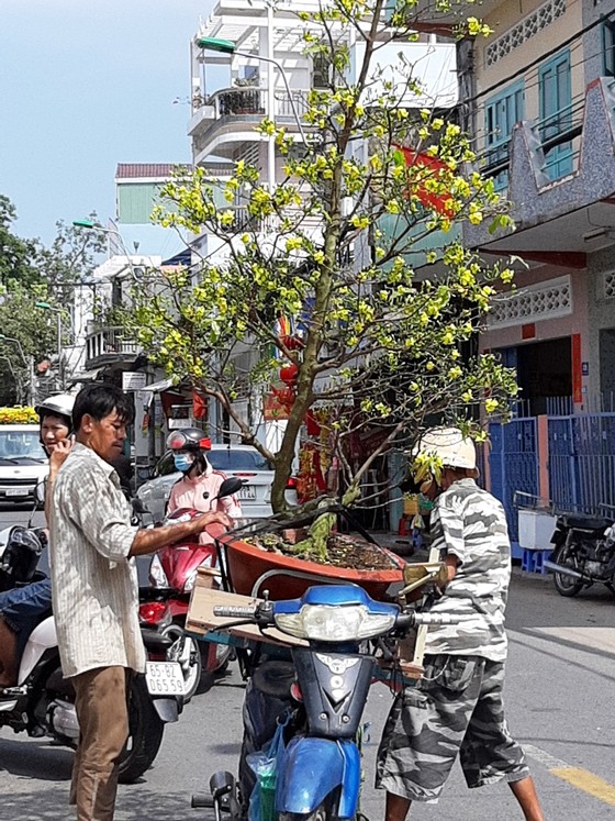 ĐBSCL: Hoa kiểng giảm giá chiều 30 Tết ảnh 3