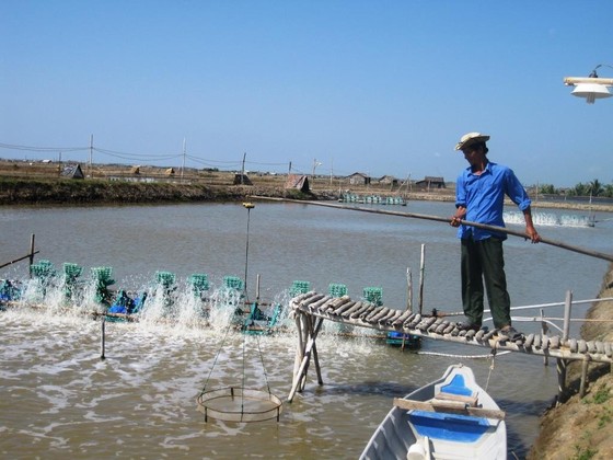 ĐBSCL: Nắng nóng dữ dội gây bất lợi cho tôm nuôi ảnh 1