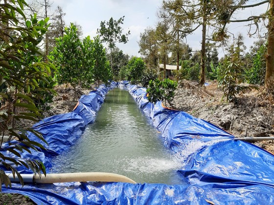 Tích trữ nước ngọt để tưới cho vườn cây ăn trái ở Tiền Giang 