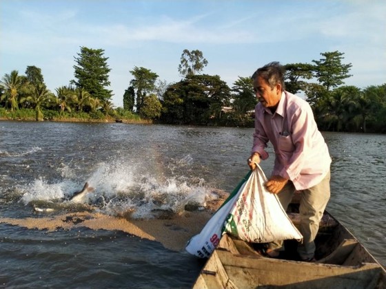 Bán nhà máy thủy sản ở An Giang - Nông dân nguy cơ mất trắng tiền nợ cá ảnh 1