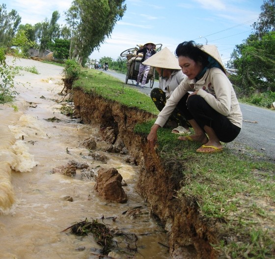 Đồng Tháp chủ động ứng phó nước lũ lên nhanh ảnh 1