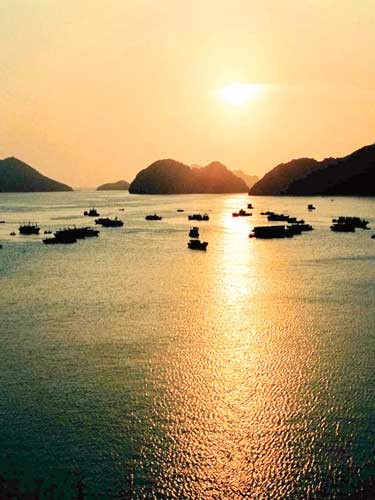 Kỳ thú Cát Bà ảnh 4