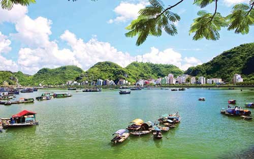 Kỳ thú Cát Bà ảnh 6