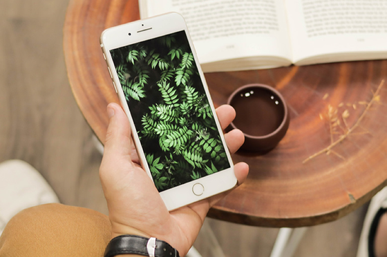 Chọn mua iPhone 7 Plus mới hay iPhone X cũ? ảnh 2