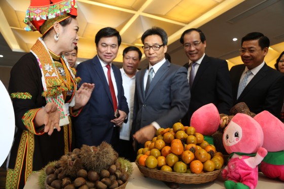 Cơ hội vàng để phục hồi và phát triển ngành công nghiệp không khói ảnh 2