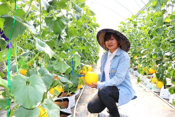 Khởi sắc du lịch cộng đồng ảnh 1