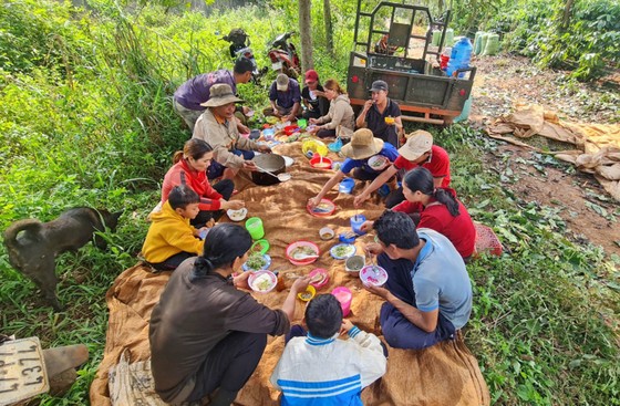 Rộn ràng mùa cà phê ở Tây Nguyên ảnh 7