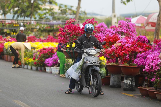 Khởi động Chợ hoa xuân Bình Điền 2023 ảnh 3