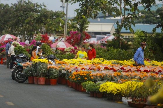 Khởi động Chợ hoa xuân Bình Điền 2023 ảnh 2