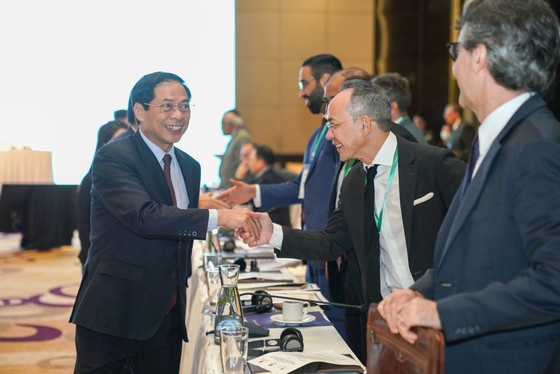 Bộ trưởng Bộ Ngoại giao Bùi Thanh Sơn gặp gỡ đại diện các quỹ đầu tư tài chính nước ngoài, ảnh ĐỖ TRUNG