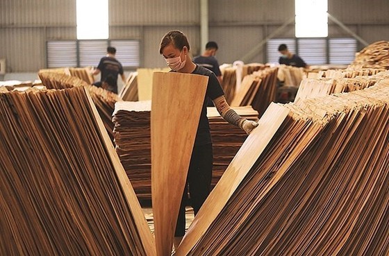Hoa Kỳ gia hạn kết luận cuối cùng vụ lẩn tránh thuế với gỗ dán Việt Nam 