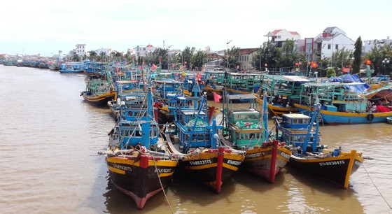 Kỷ niệm 30 năm tái lập tỉnh Bình Thuận (1992-2022): Phấn đấu trở thành trung tâm năng lượng tái tạo ảnh 2