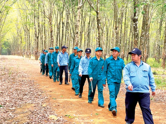 Công nhân cao su của Công ty TNHH MTV Lộc Ninh đang tuần tra bảo vệ cao su và biên giới tại xã Hưng Phước (huyện Bù Đốp, tỉnh Bình Phước)