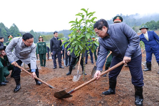 Thủ tướng kêu gọi trồng cây ngay từ những ngày đầu xuân và cả năm ảnh 2