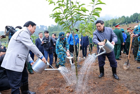 Thủ tướng kêu gọi trồng cây ngay từ những ngày đầu xuân và cả năm ảnh 3