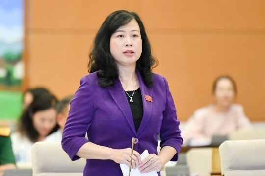 Bộ trưởng Bộ Y tế Đào Hồng Lan ảnh 1 Bộ trưởng Bộ Y tế Đào Hồng Lan ảnh 1