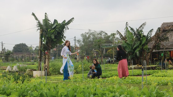 Thúc đẩy kinh tế du lịch liên vùng miền Trung ảnh 1