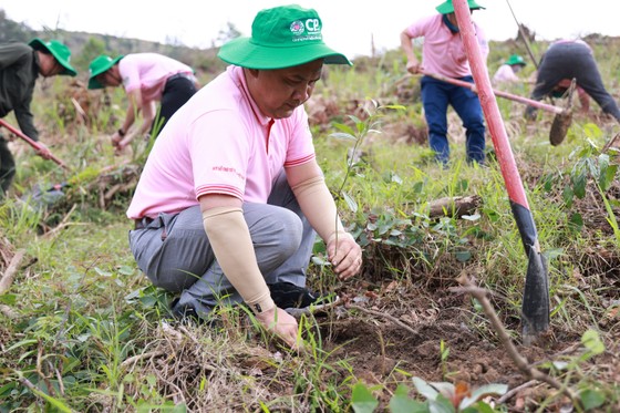 CP Việt Nam thực hiện Hành trình vì một Việt Nam xanh tại tỉnh Thừa Thiên - Huế ảnh 2