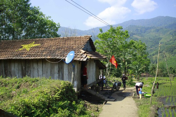 Tuổi trẻ Quảng Ngãi mang xuân đến vùng cao Sơn Tây ảnh 4