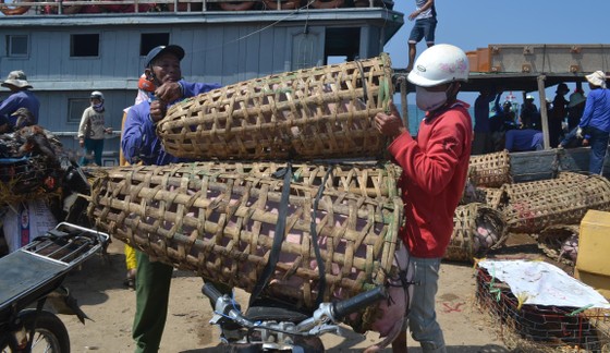 Các tỉnh miền Trung “căng mình” chống bão số 6 ảnh 6 Các tỉnh miền Trung “căng mình” chống bão số 6 ảnh 6