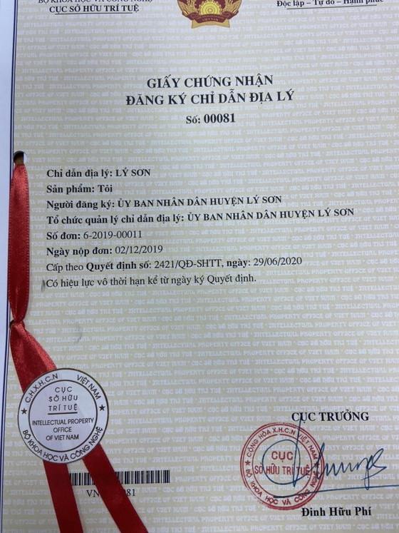 Tỏi Lý Sơn được cấp giấy chứng nhận “Chỉ dẫn địa lý” ảnh 1