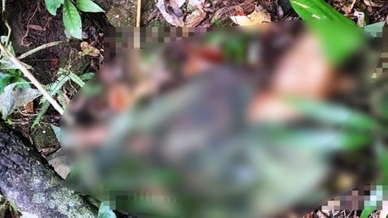 Đi săn khỉ, 1 người chết vì súng cướp cò ảnh 1 Đi săn khỉ, 1 người chết vì súng cướp cò ảnh 1