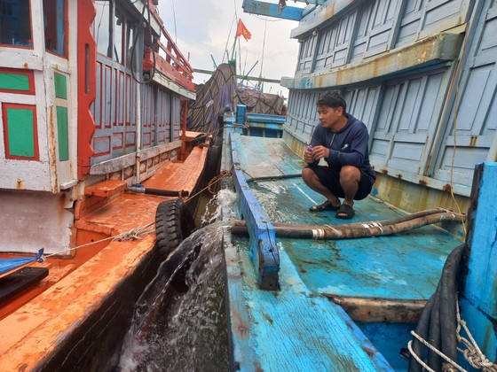 Ngư dân Quảng Ngãi chủ động ứng phó áp thấp nhiệt đới ảnh 1