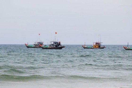 Quảng Ngãi: Một ngư dân bị đột quỵ, rơi xuống biển tử vong ảnh 1