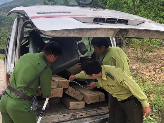 Quảng Ngãi: Cải tạo xe ô tô để chở gỗ lậu ảnh 1