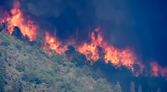 Hình ảnh cắt từ clip ghi nhận vụ cháy rừng tại Mỹ của Reuters