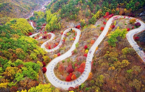 Du lịch Hàn Quốc kỳ vọng sẽ đón khách trở lại vào cuối năm 2020 ảnh 1 Du lịch Hàn Quốc kỳ vọng sẽ đón khách trở lại vào cuối năm 2020 ảnh 1