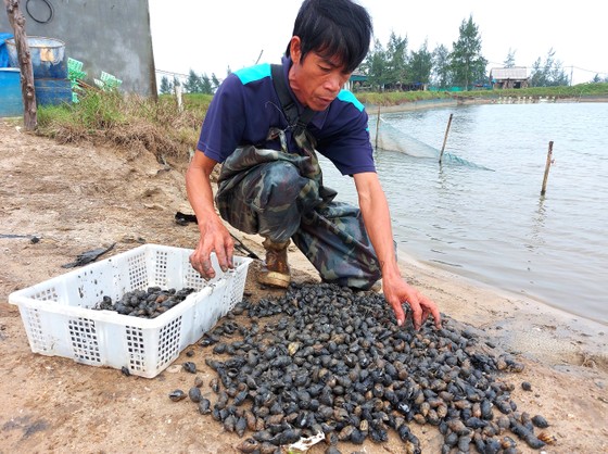 Bão dồn, lũ dập miền Trung ảnh 8