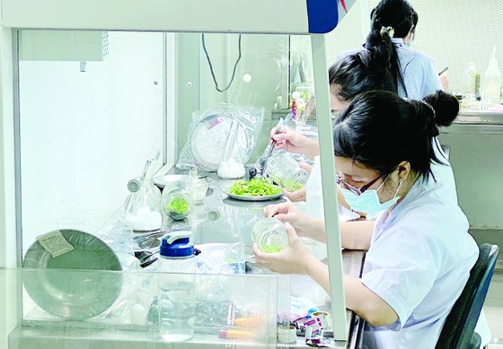 Thu hút chuyên gia, nhà khoa học tại TPHCM: Chính sách ưu đãi về thu nhập chưa đủ sức cạnh tranh ảnh 3