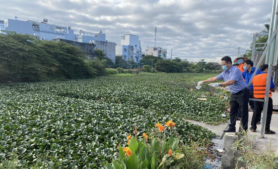 Khơi thông dòng chảy nghiên cứu khoa học ảnh 1 Khơi thông dòng chảy nghiên cứu khoa học ảnh 1