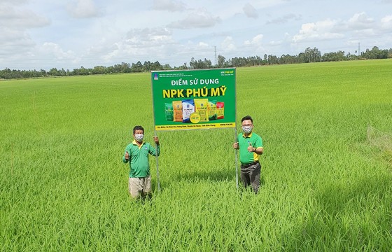 PVFCCo công bố báo cáo tài chính với con số tăng trưởng ấn tượng ảnh 2 PVFCCo công bố báo cáo tài chính với con số tăng trưởng ấn tượng ảnh 2