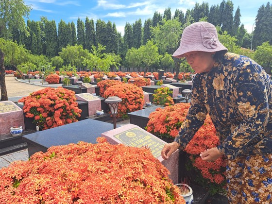 Hoa trang rực đỏ ở Nghĩa trang liệt sĩ Đất Đỏ - Long Điền ảnh 2