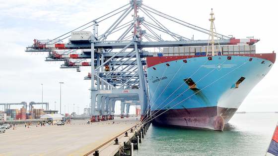 Quy hoạch để cải thiện năng lực logistics ảnh 1