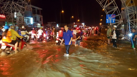 Áp lực triều cường làm vỡ đê cạnh sông Hậu ảnh 6
