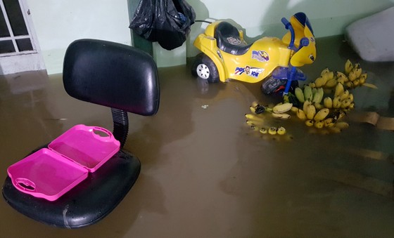 Áp lực triều cường làm vỡ đê cạnh sông Hậu ảnh 4