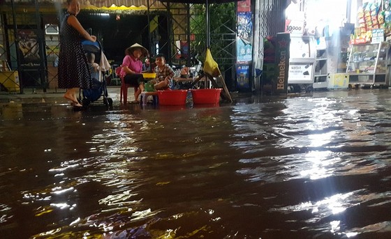 Áp lực triều cường làm vỡ đê cạnh sông Hậu ảnh 7