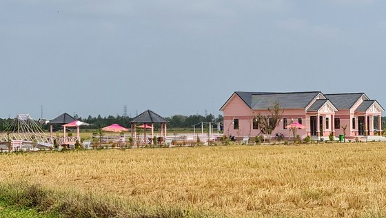 Công ty Kim Loan Quê Tôi bị phạt 40 triệu đồng vì xây dựng không phép ảnh 1