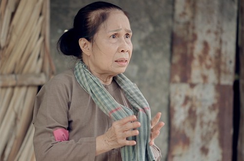 Nghệ sĩ Ánh Hoa qua đời ở tuổi 79 ảnh 2