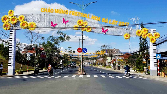 Đường phố Đà Lạt được trang trí trước thềm Festival Hoa. Ảnh: ĐOÀN KIÊN